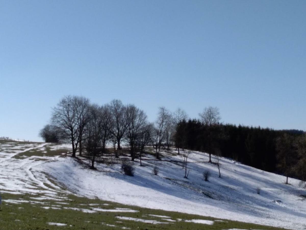 Oh Deer! Leilighet Vaux-sur-Sure Eksteriør bilde